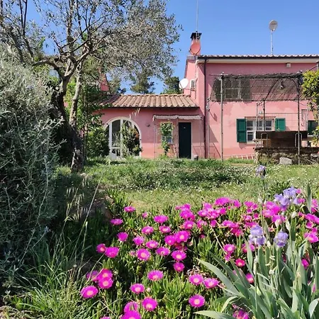 Agriturismo Le Pellicce Lantgård