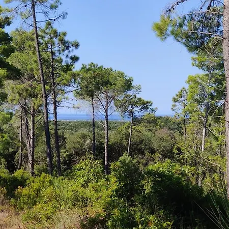 Lantgård Agriturismo Le Pellicce *